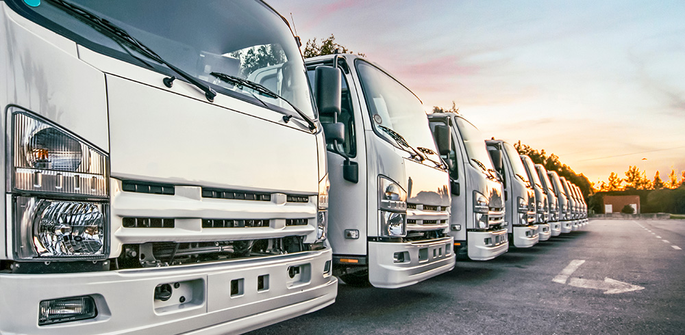 A row of trucks parked in an outdoor lot